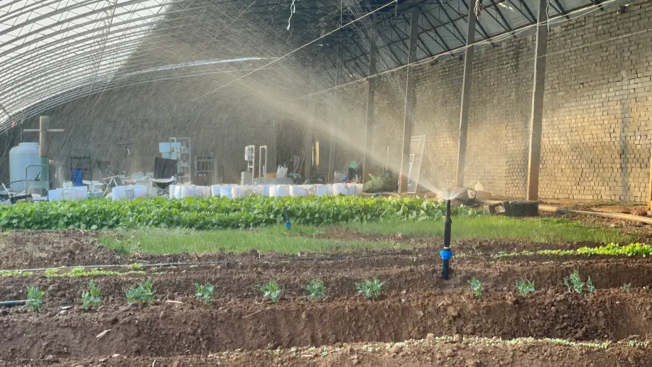 Remote farm irrigation